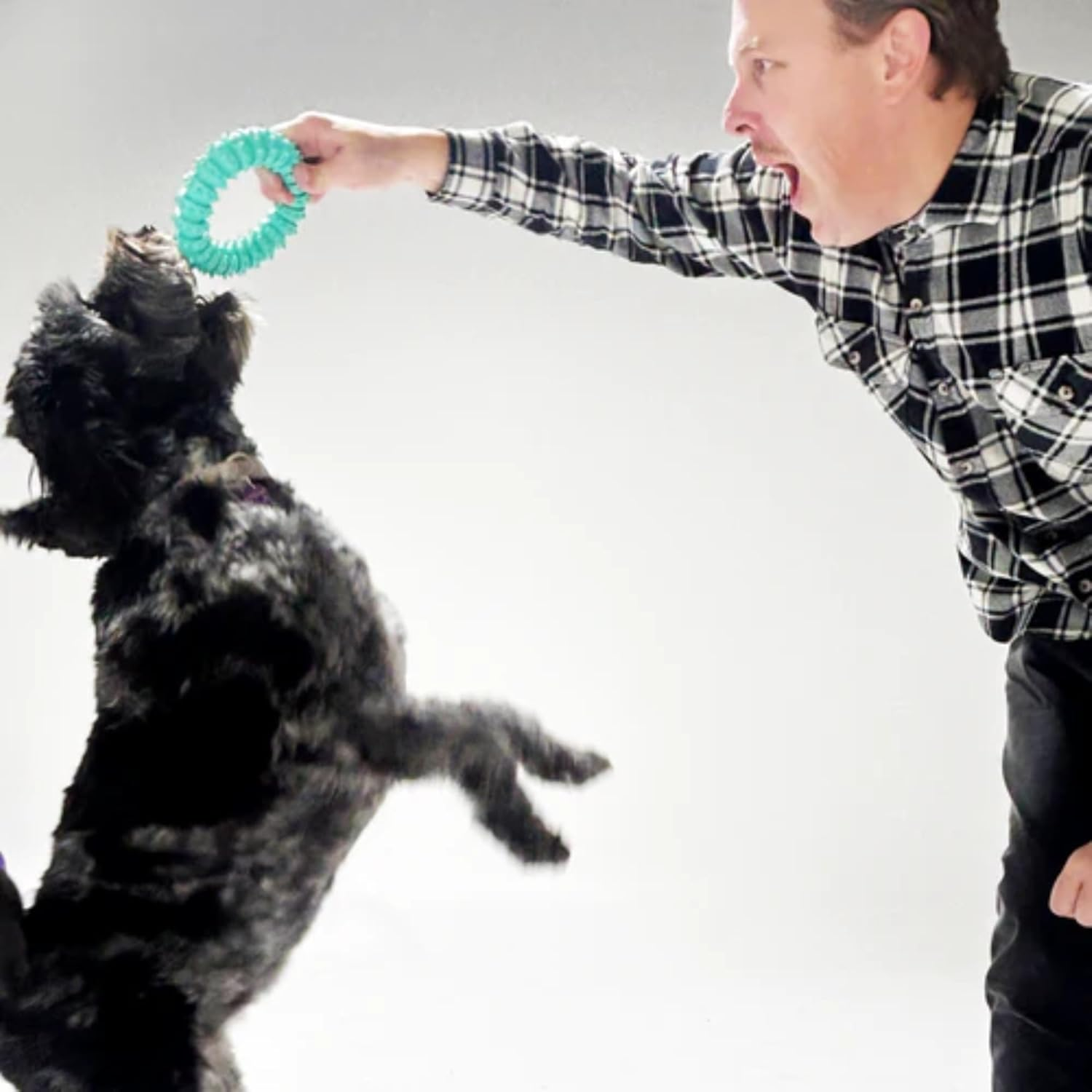 [Edog] K9 Ultimate Rubber Dental Dog Toy - Durable, Non-Toxic Chew Toy for Oral Health (Rubber Dental Dog Ring Toy - Large (15CM)) image number 3