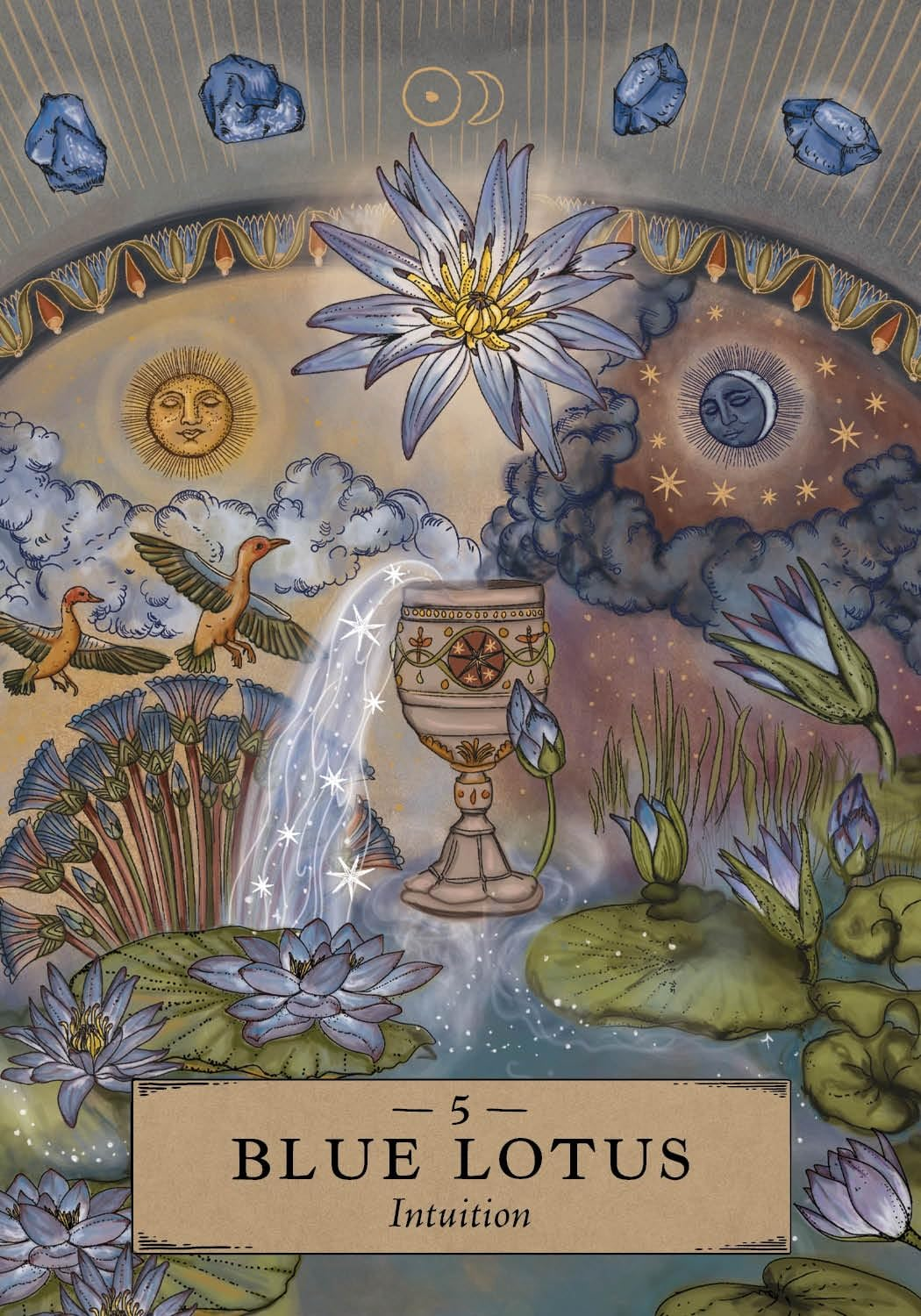 The Herbal Astrology Pocket Oracle: a 55-Card Deck and Guidebook image number 3