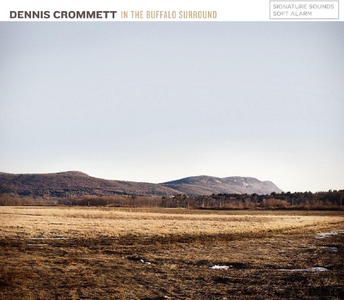 In the Buffalo Surround