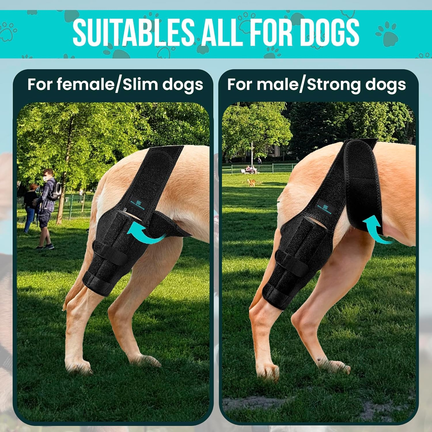 Dog Leg Braces for Back Leg - Dog Knee Brace for Support with Cruciate Ligament Injury, Joint Pain and Muscle Sore,- Dog Knee Brace for Torn ACL Hind Leg Adjustable Rear Leg Braces (Small) image number 2