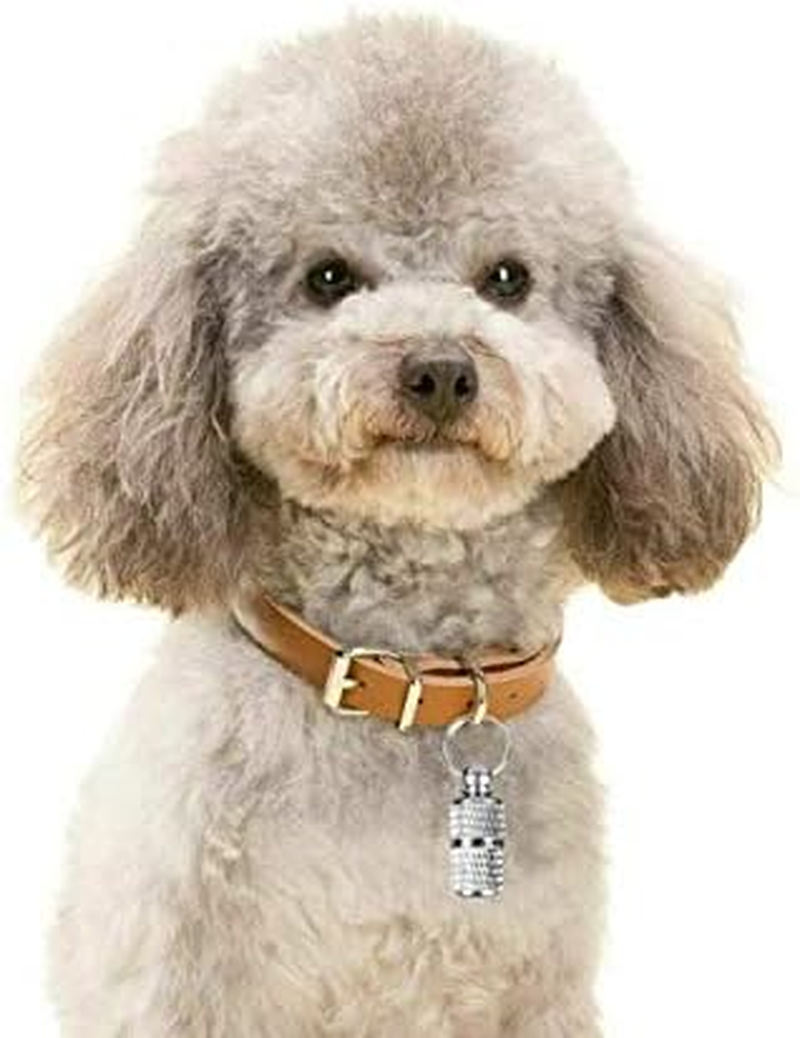 Yitaocity 5Pcs Anti-Lost Stainless Steel Pet Puppy ID Tube Tag Barrel Tube Collars for Dog Cat Address Name Label Tube Pet Gift Tag Supplies Prevent Pet Lost image number 3