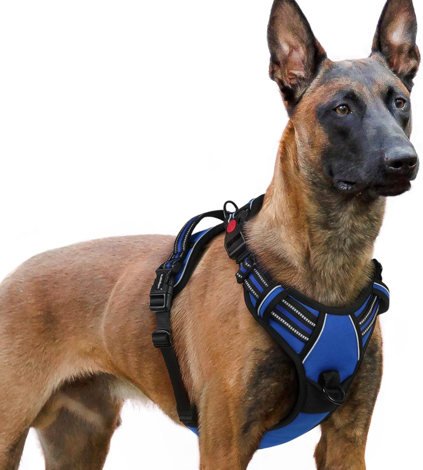 Rabbitgoo Dog Harness Medium Sized, No Pull Pet Harness with 3 Buckles, Adjustable Soft Padded Dog Vest with Instant Control Handle, Easy Walking Reflective Pet Vest for Medium Dogs, Blue, M