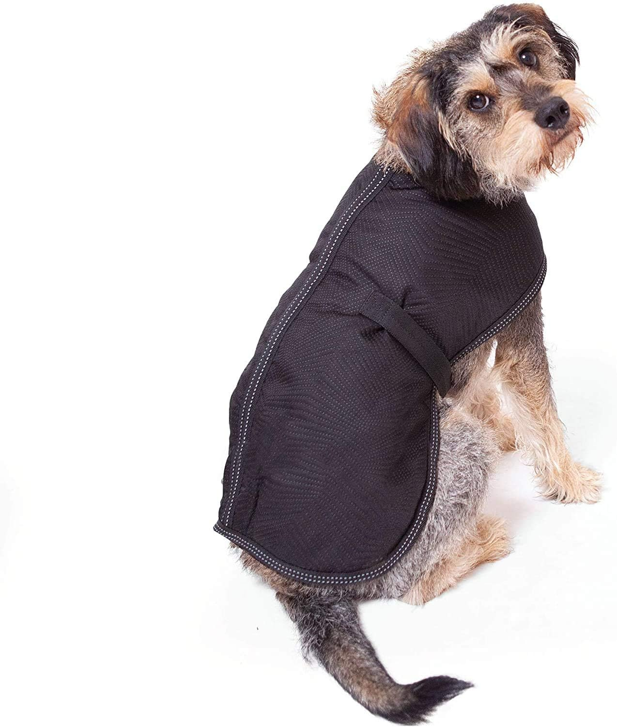 Kazoo Adventure Coat for Dogs, Black, Large image number 1