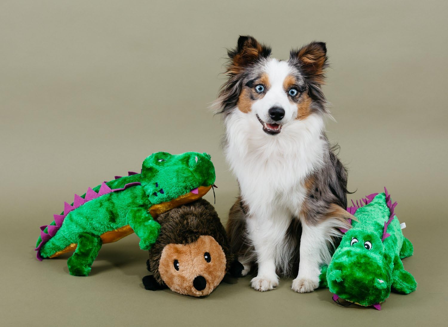 Zippypaws 9-Inch Hedgehog Squeaky Plush Dog Toy, Large image number 1