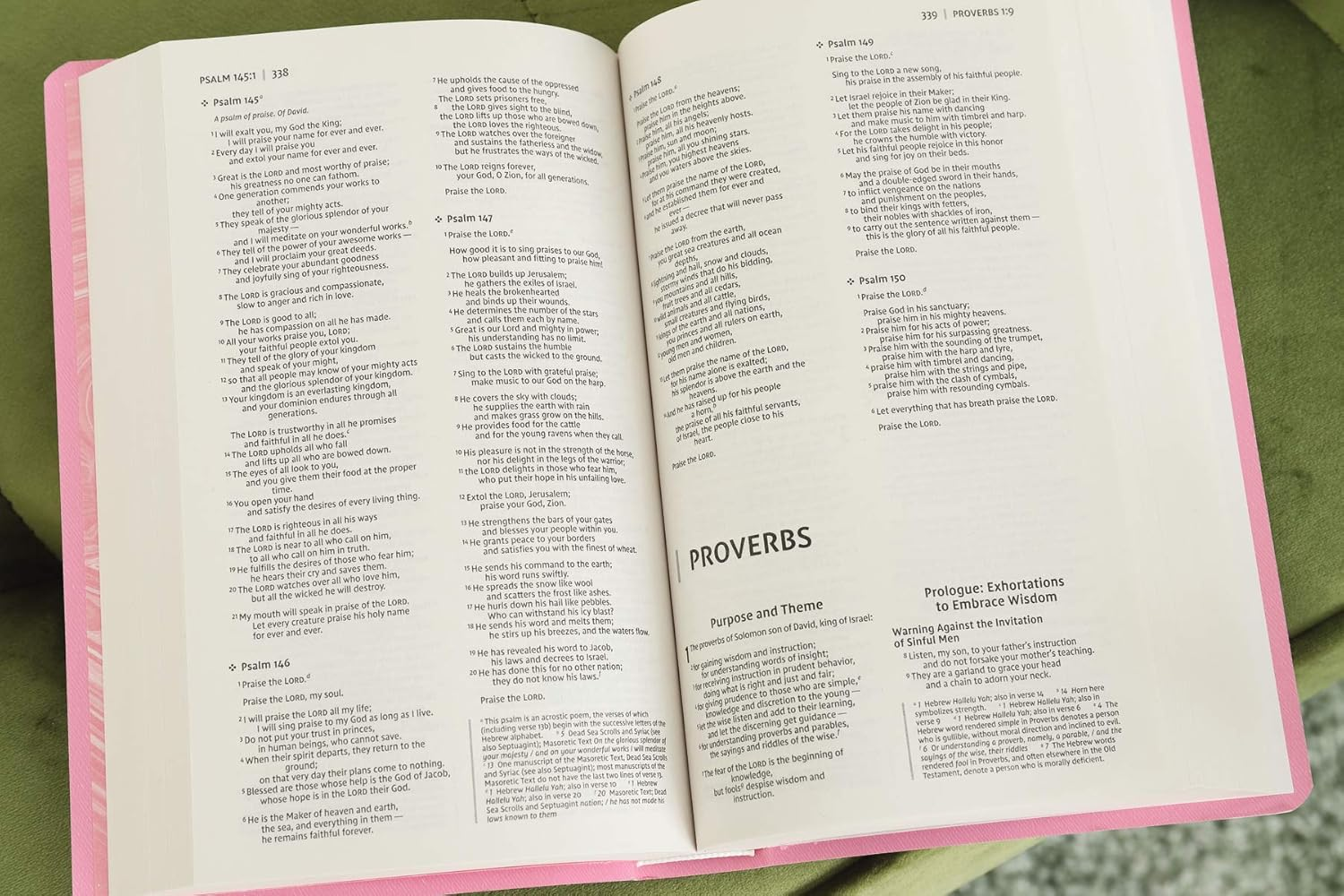 NIV Gift and Award Bible Red Letter Edition [Pink] image number 2