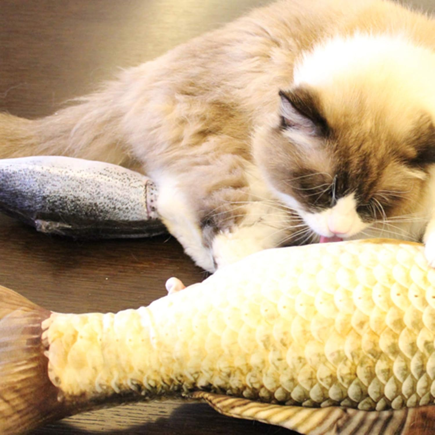 REFENG Realistic Plush Simulation Doll Fish, Funny Interactive Pets Chew Bite Supplies for Cat/Kitty/Kitten Fish Flop Cat Toy Catnip Toys