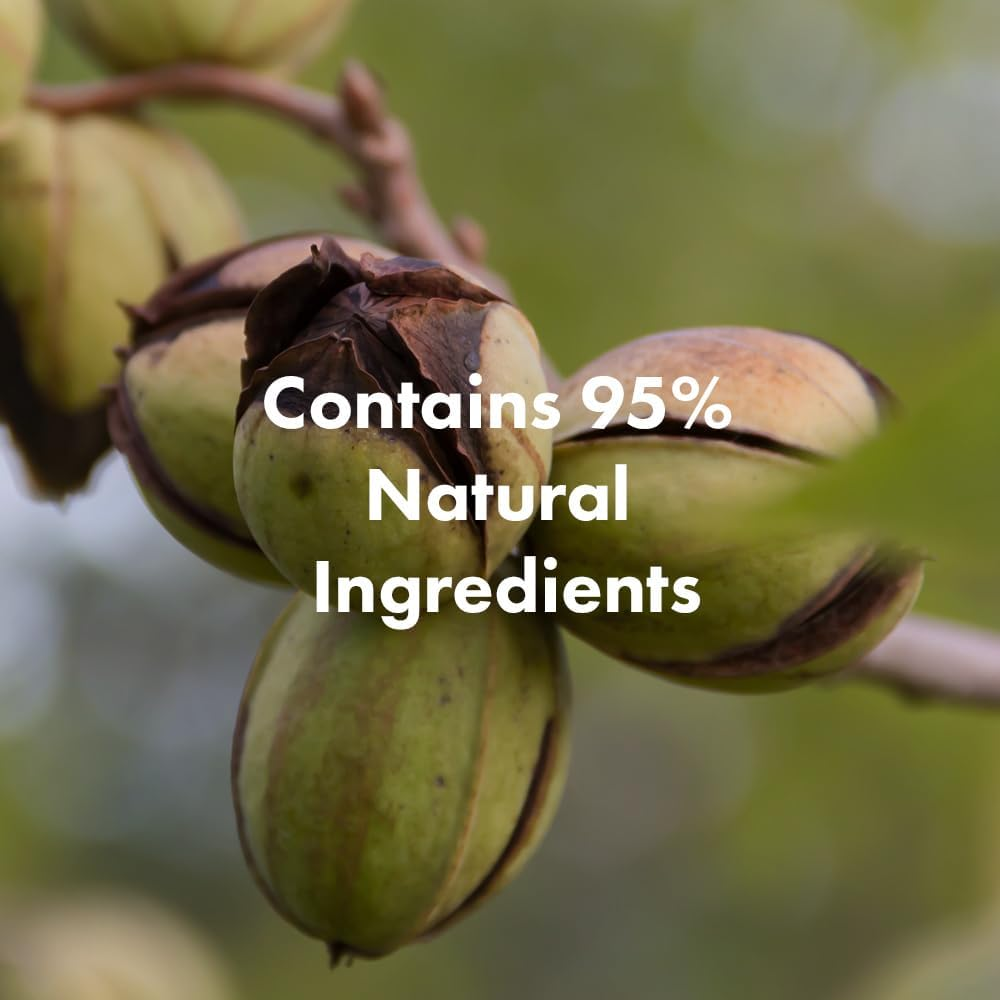 Real Argan Repairing Shampoo 400Ml image number 1