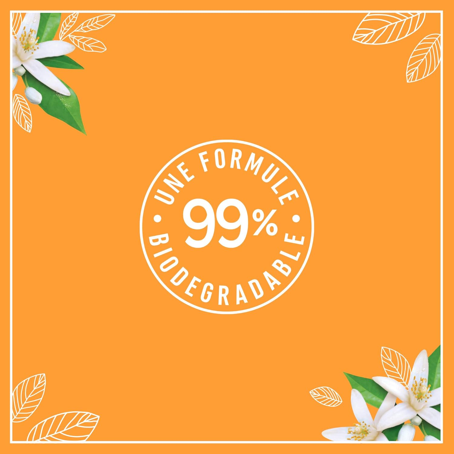 Le Petit Marseillais Shower & Bain Extra Soft Moisturising and Nourishing Organic Orange Blossom 250Ml