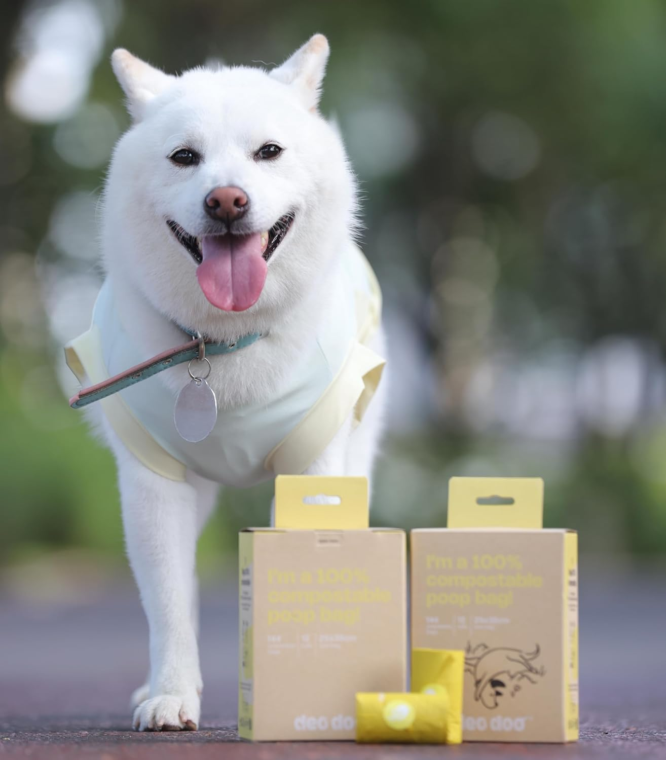 Dog Poop Bags Rolls with Handles 144Counts Compostable Dog Waste Bags for Dogs Leak Proof Extra Thick Waste Bags for Walking Doggy image number 2