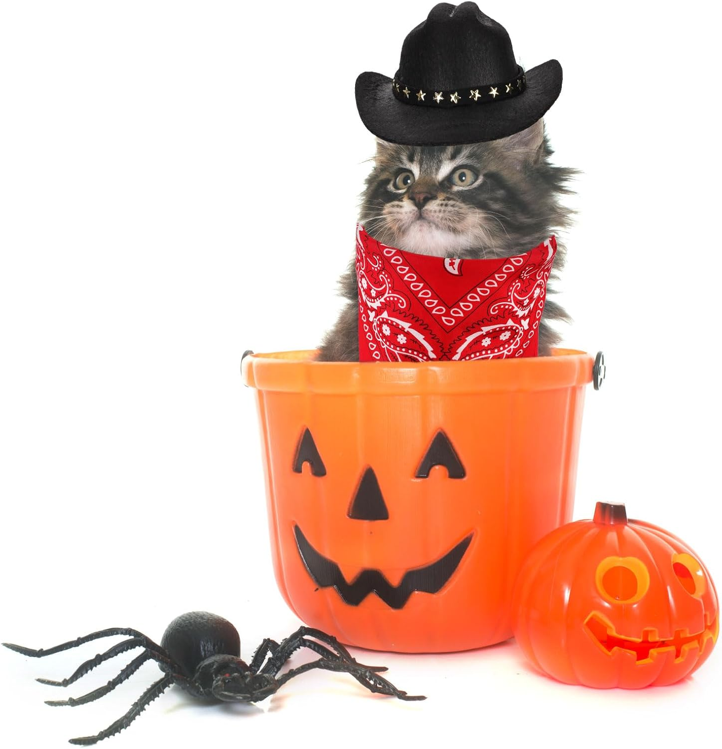 PEUTIER Pet Cowboy Costume, Dog Cowboy Hat & Dog Bandana Scarf Dog Halloween Costumes Outfit Accessories for Small Cats Dogs Pets (Black, Red) image number 6