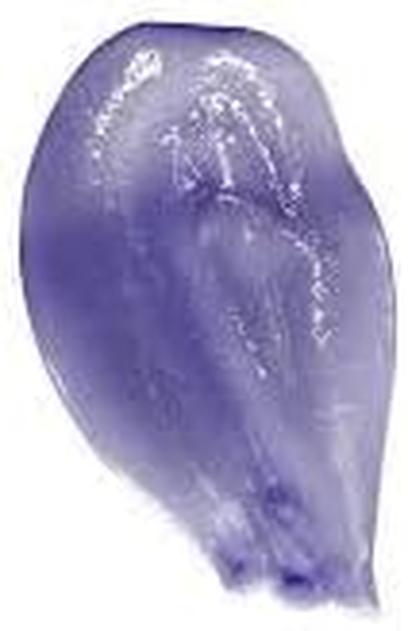 Lycon Sugar Scrub 520 G image number 6