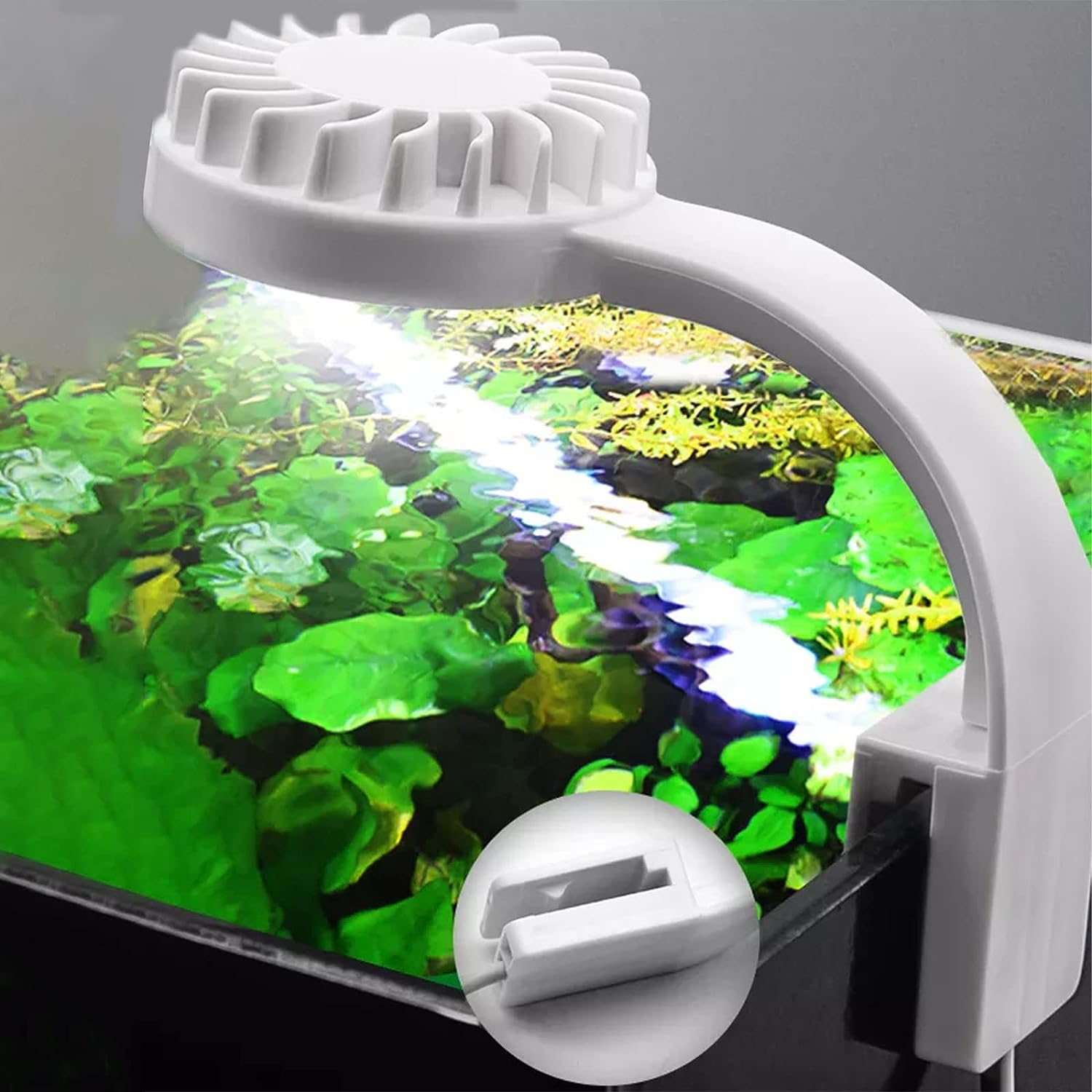 Bigtron Full Spectrum Aquarium Light, Small Clip Light for Fish Tank - Blue-Red image number 5