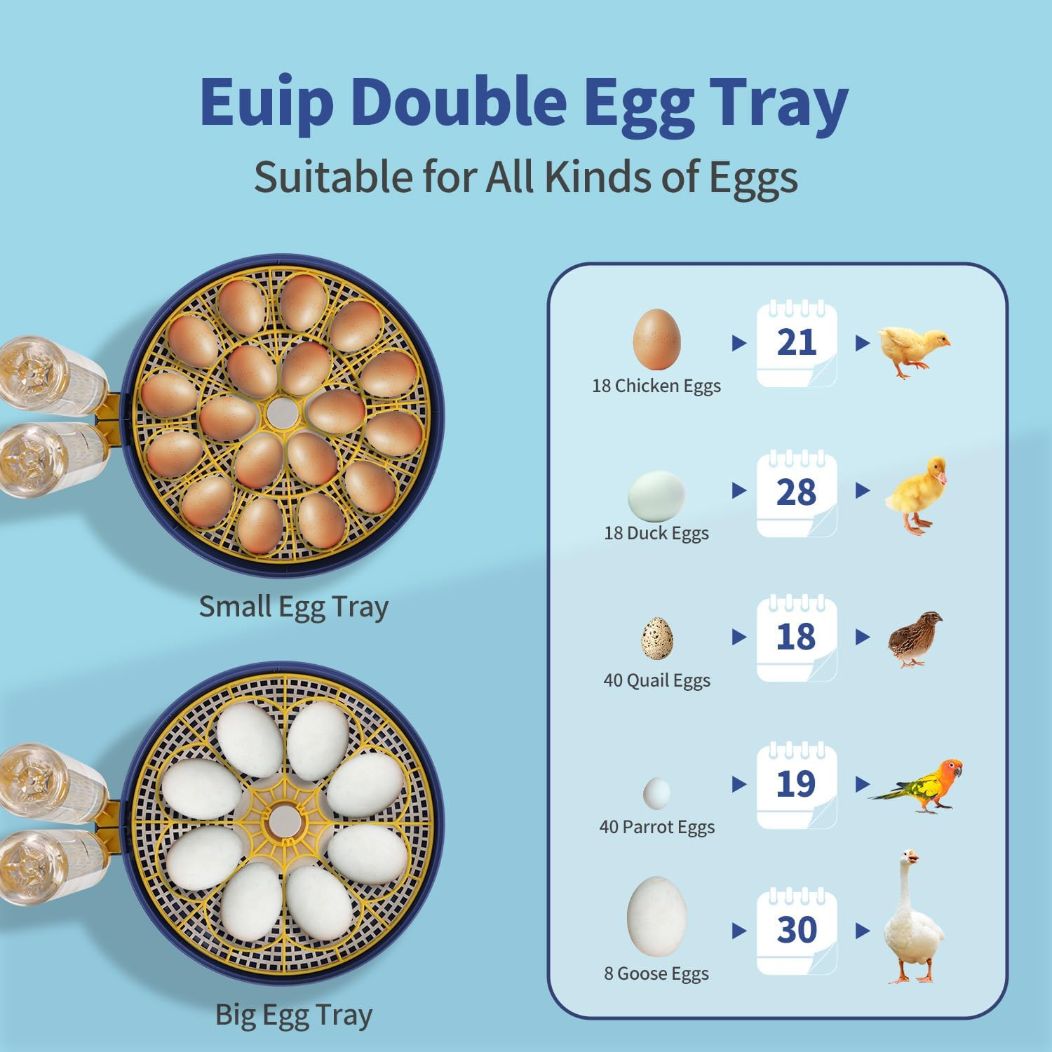18Egg Automatic Egg Turner Incubator with Temp Control & 360&deg; Clear View Window, for Quail, Duck, Goose, Parrot Eggs, Precision Hatching & Easy Monitoring