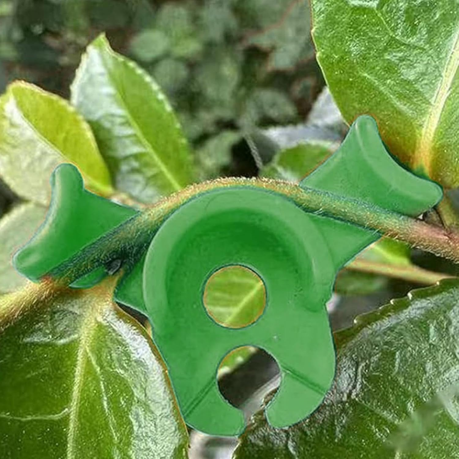 60Pcs Plant Training Clips,Wady Low-Stress Plant Benders for Gentle Training, Soft Bendable Clips for Healthy Growth, Gardening Training Tools for Indoor/Outdoor Plants (Mixed) - Mixed image number 4