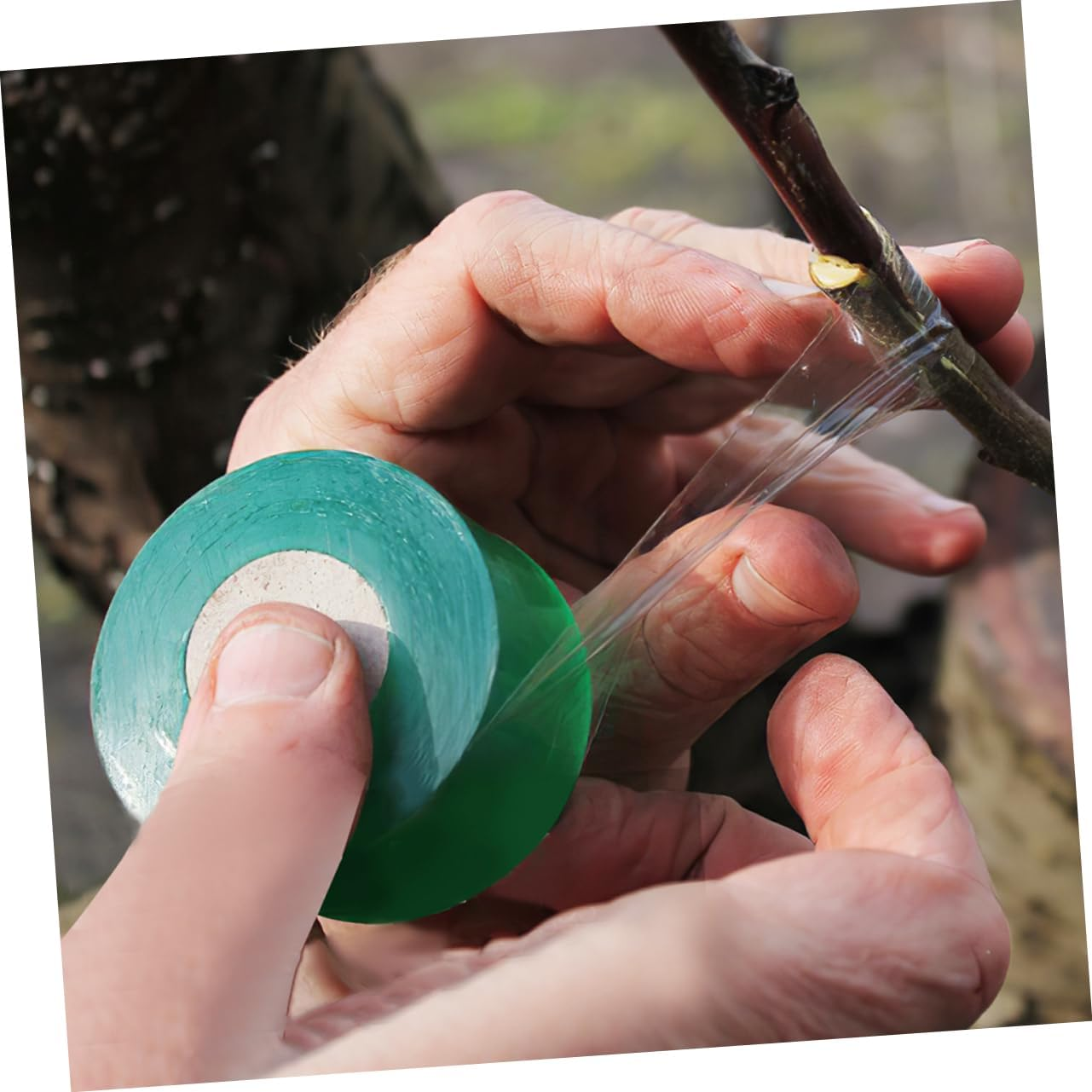 SUPVOX Grafting Tape and Plant Repair Tape for Gardening Use, 4 Rolls of 100Cm Stretchable Self-Adhesive Budding Film 2Cm Width, Suitable for Fruit Trees and Plant Grafting Accessories image number 2