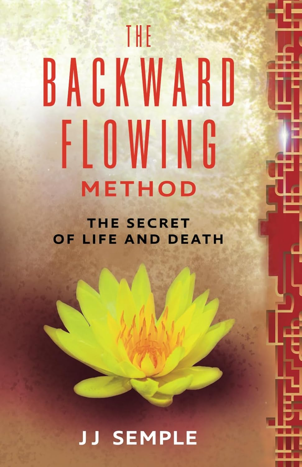 The Backward-Flowing Method: the Secret of Life and Death image number 2