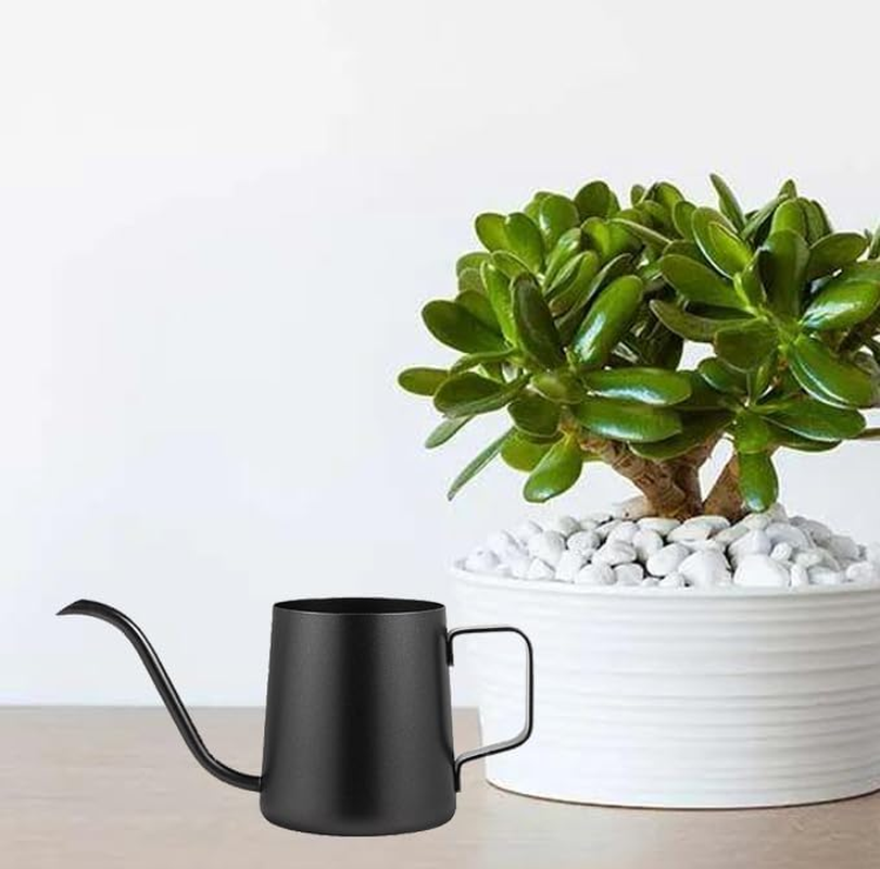 1PCS Watering Can Indoor Plants, Indoor Watering Can 350 Ml, Small Watering Can with Long Spout, Stainless Steel Plant Watering Can,Long Spout Small Water Can,Outdoor Garden Flowers Decorative