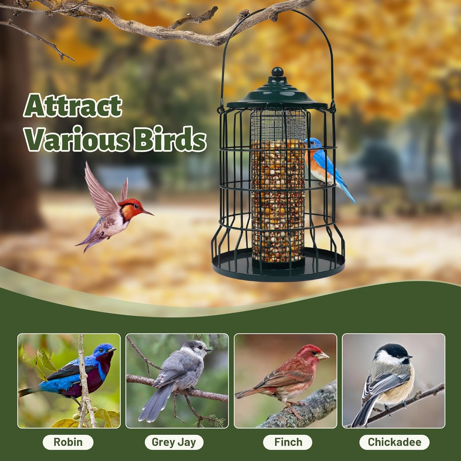 Wild Bird Feeder Squirrel Proof for Outdoors Hanging, All Metal Bird Seed Feeders for outside Winters for Cardinals Capacity Goldfinch