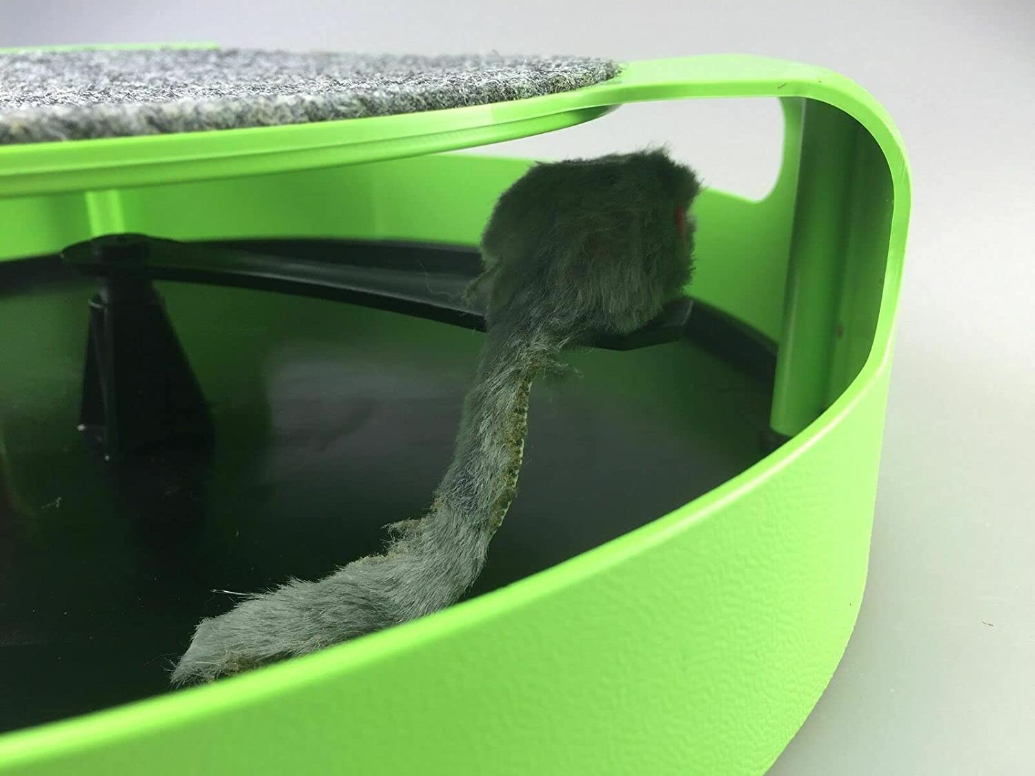 Motion Kitten Cat Toy Catch the Mouse Chase Interactive Cat Training Scratchpad image number 6