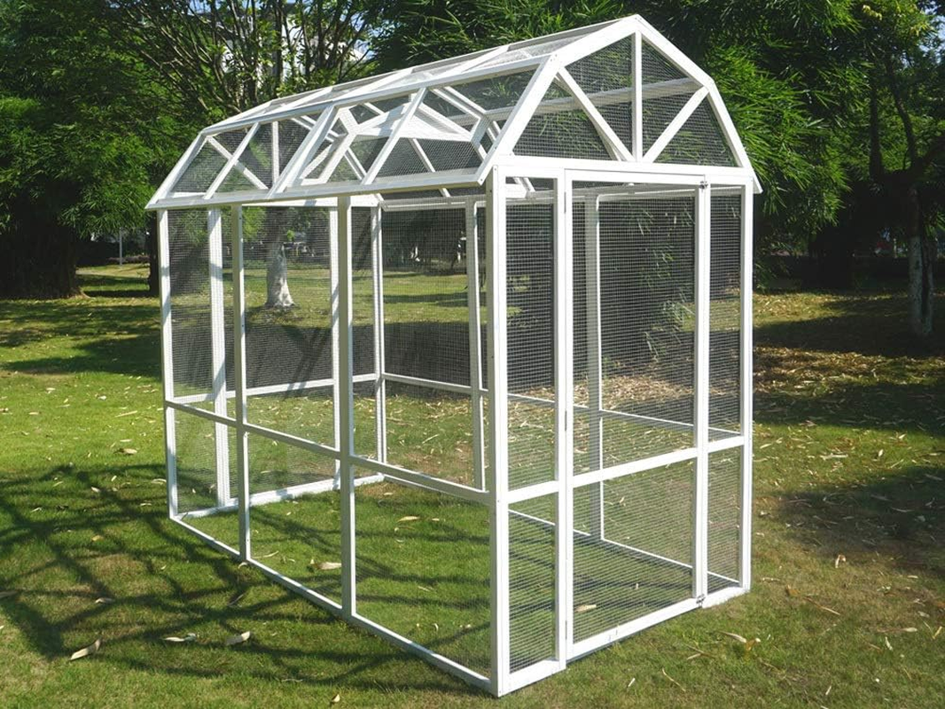 The Grand Barn Chicken Run image number 4