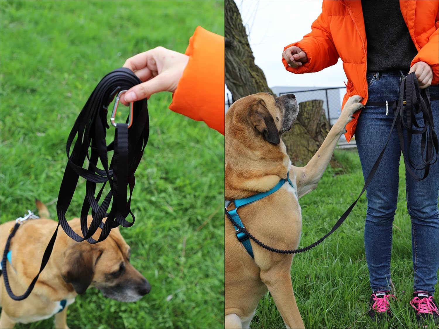 DINGO Dog Walking Belt with Shock Absorber, Large Carabiner for Excess of the Rolled-Up Leash, 6 Meters Long Lead, Adjustable Waist Belt with Plastic Buckle, Universal Size, Black (99788) image number 3
