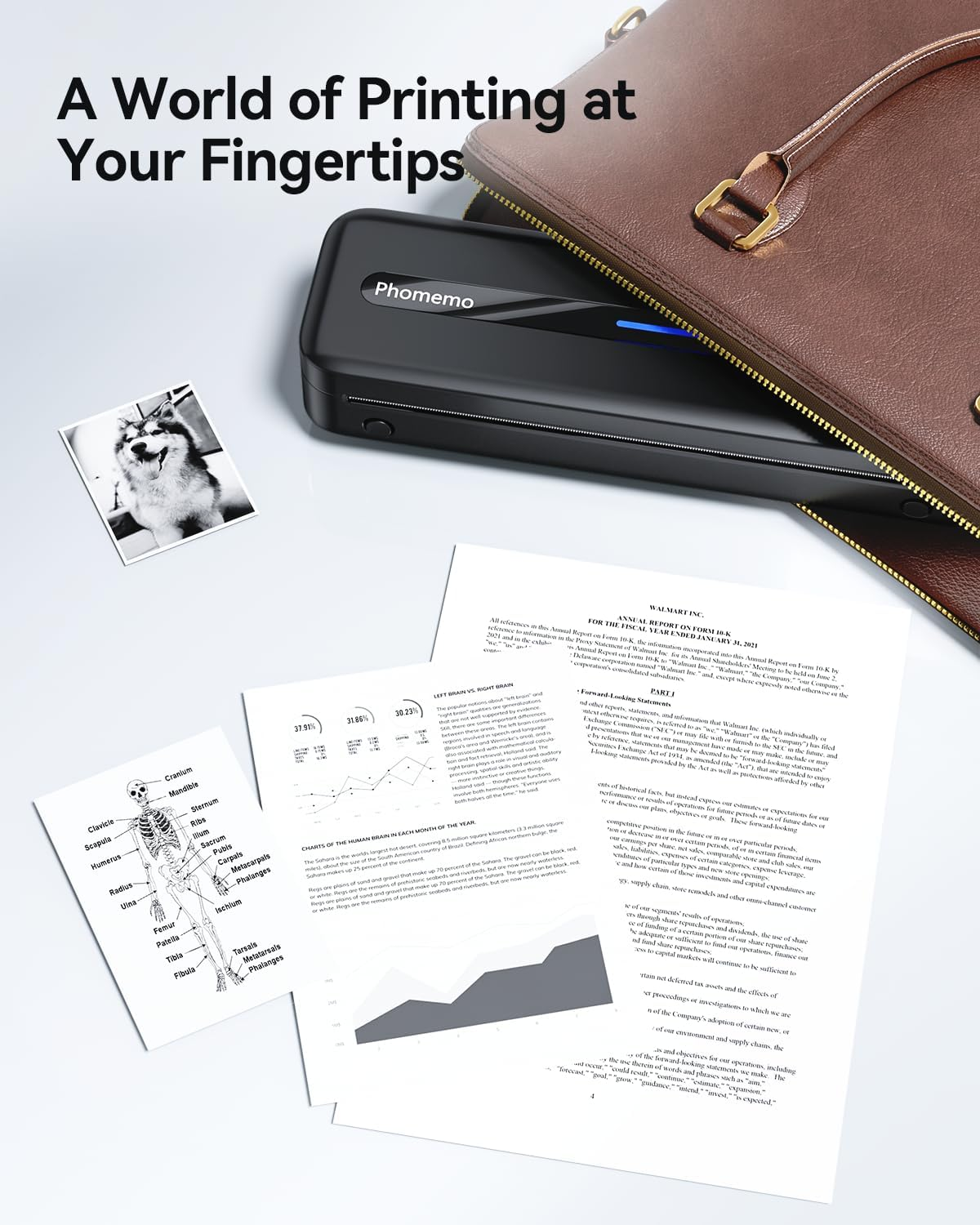 Phomemo M832 Portable Thermal Printer, Bluetooth Wireless Printer for Travel, Home, Office, Outdoors, Support 2&rsquo;&rsquo;, 3&rsquo;&rsquo;, 4&rsquo;&rsquo; and A4 Thermal Paper, Compatible with Android and Ios, Black, 300Dpi - Black image number 5