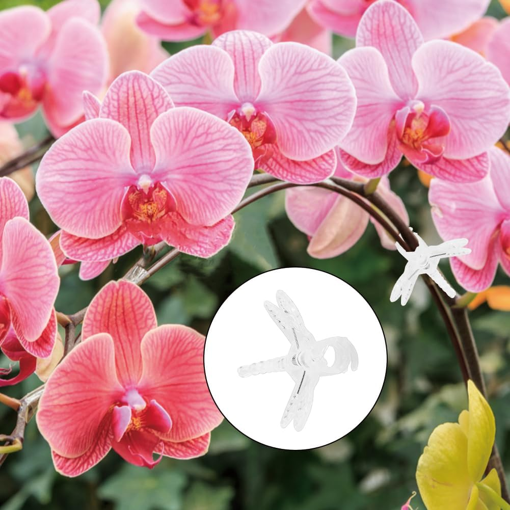 Plant Orchid Clips, Dragonfly Stem Clip Garden Vine Grow Upright Support Stalks Climbing Plants Tomato Trellis Holder Decoration for Supporting Flower Cucumber Vegetables 100Pcs(Transparent) image number 5