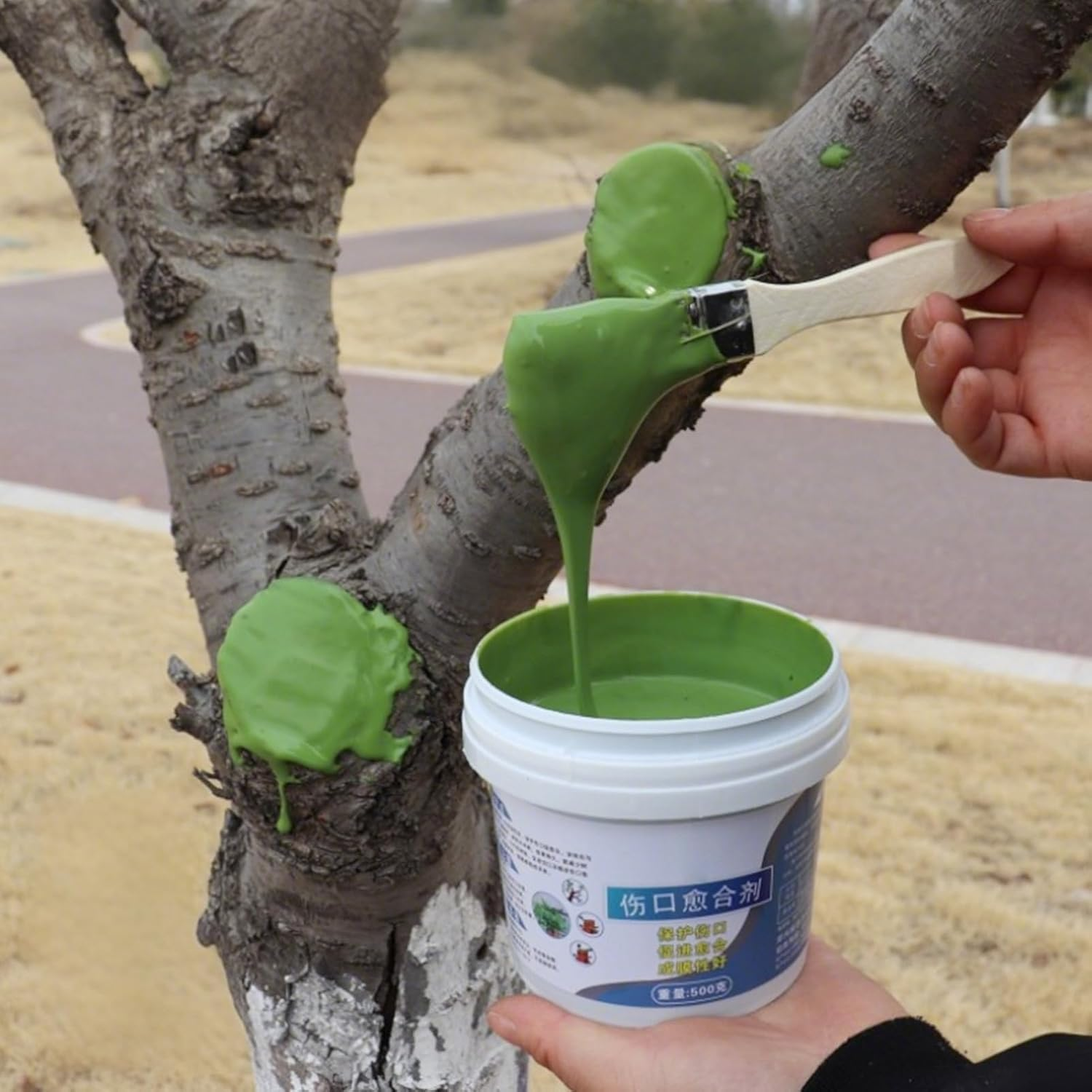 Grafting Tree Sealer,Pruning Cutting Tree Plant Sealer | 500G Shrubs Dressing with Brush, Weatherproof Trunk Branch Supplies for Farming Orchard Home Gardening Backyard image number 1