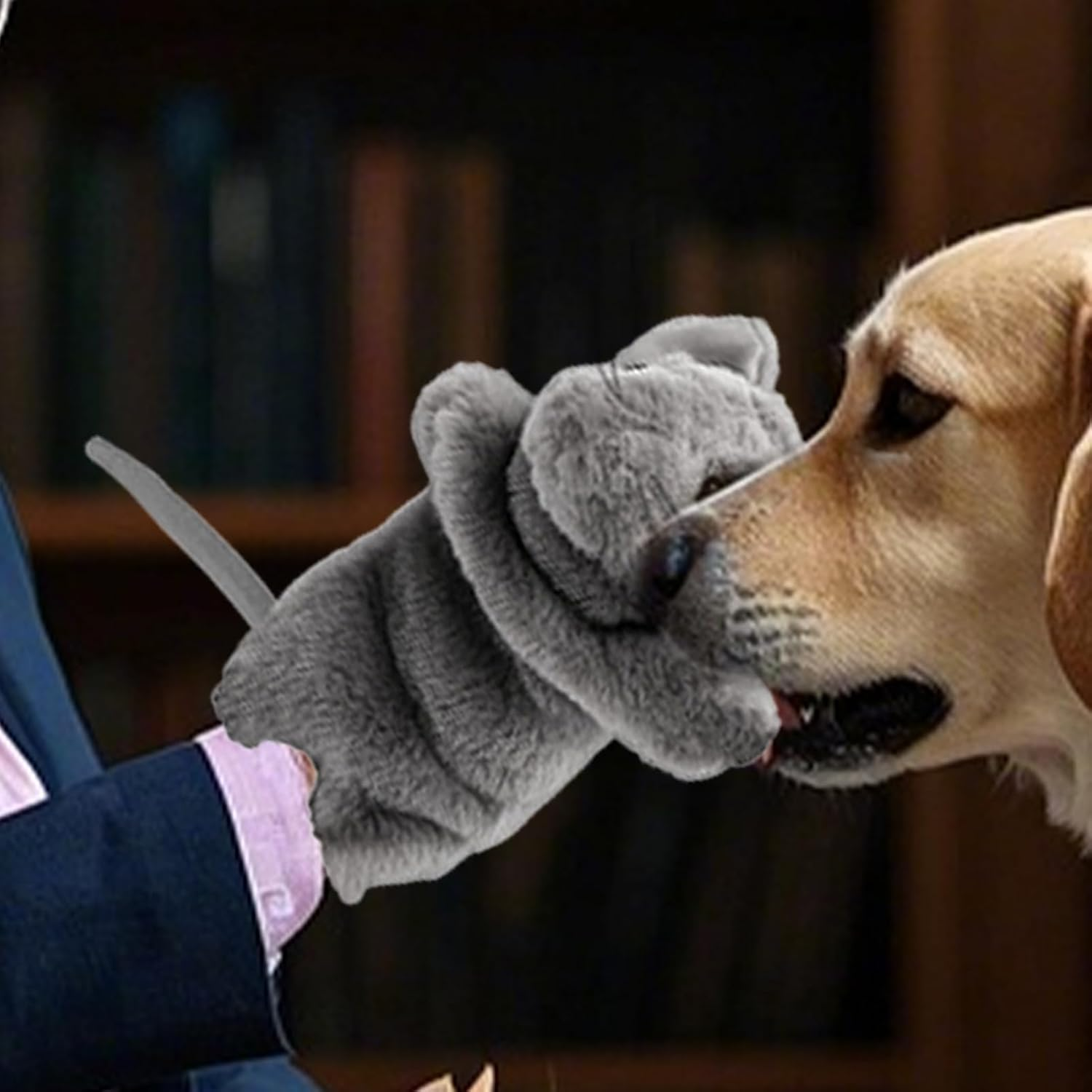 Jinyilwn Cat Wrestling Gloves, Cat Arm Wrestling Toy | Luxury Cat Toy Doll - Mouse Shaped Wrestling Gloves for Fun Time, Safe Interactive Play image number 4