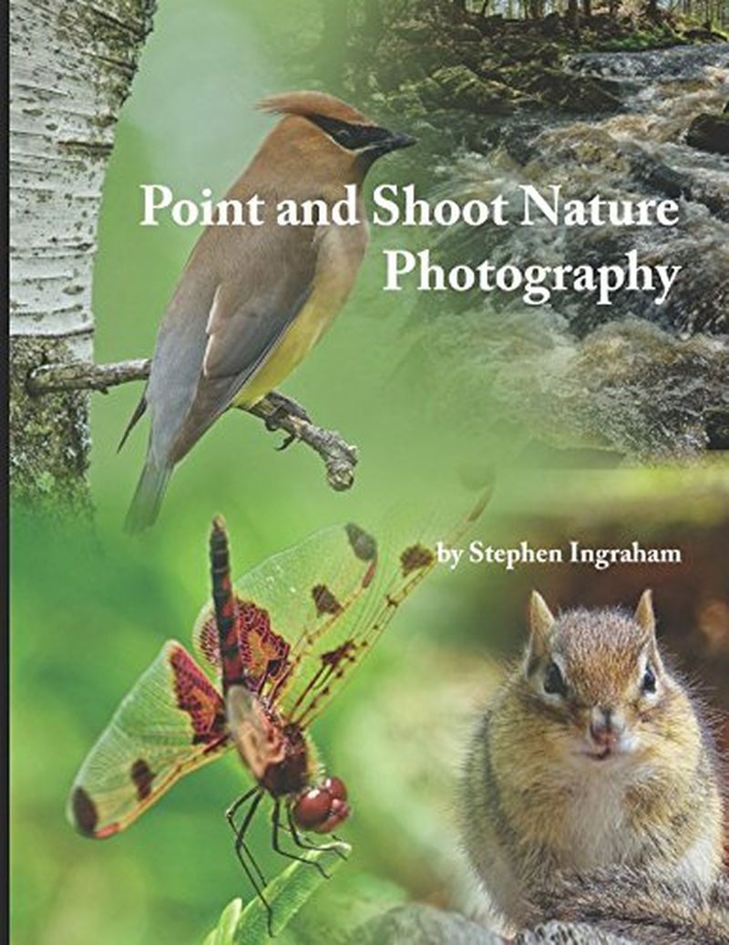 Point and Shoot Nature Photography