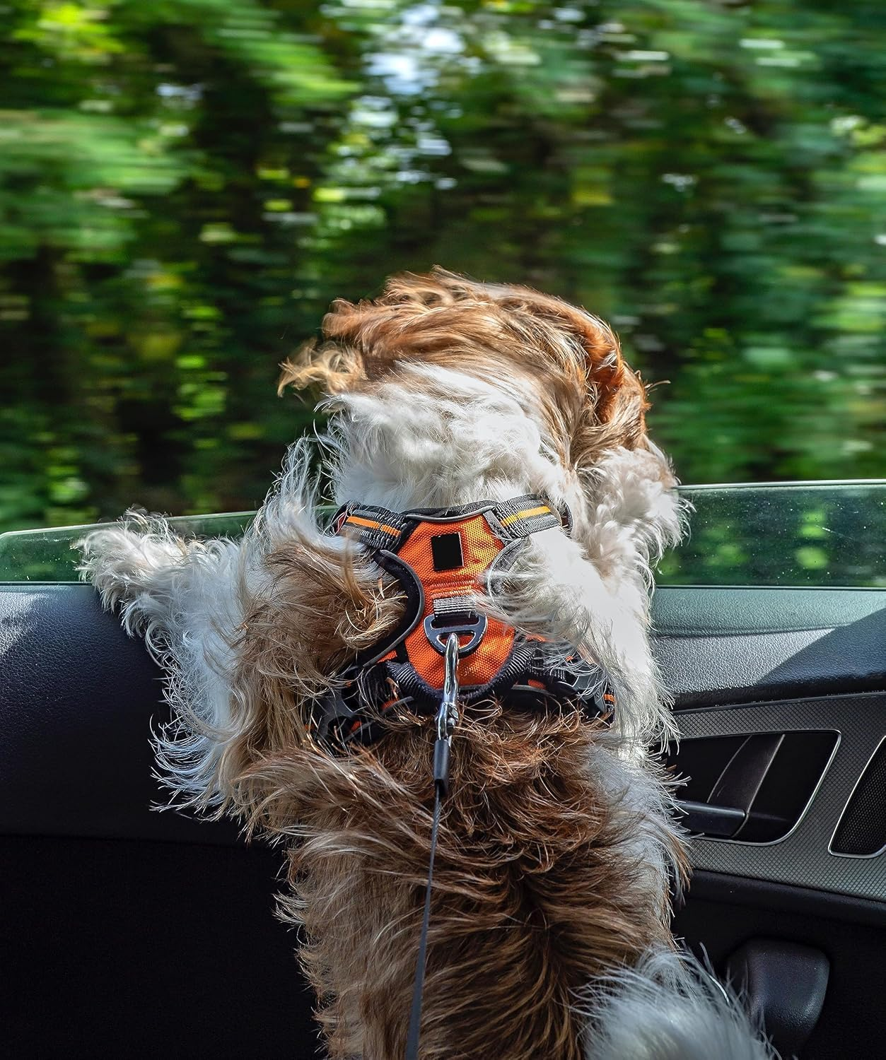 80 CM Dog Seat Belt Harness for Car, Chew Proof Tether Cable Dog Vehicle Seatbelt Safety Restraint, 360&deg; Rotation Hook Steel Cable Dog Headrest Support