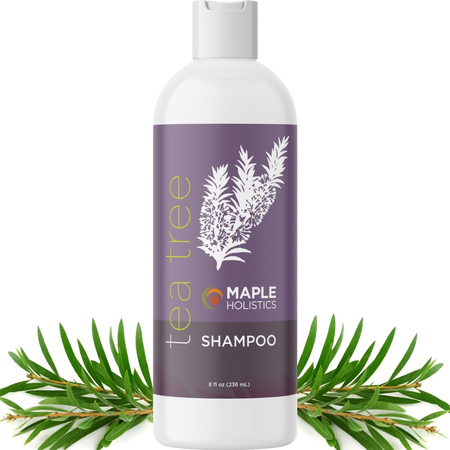Maple Holistics Tea Tree Oil Shampoo - Pure and Natural for Women and Men - anti Dandruff Haircare - Safe for Color Treated Hair - Usa Made By image number 1