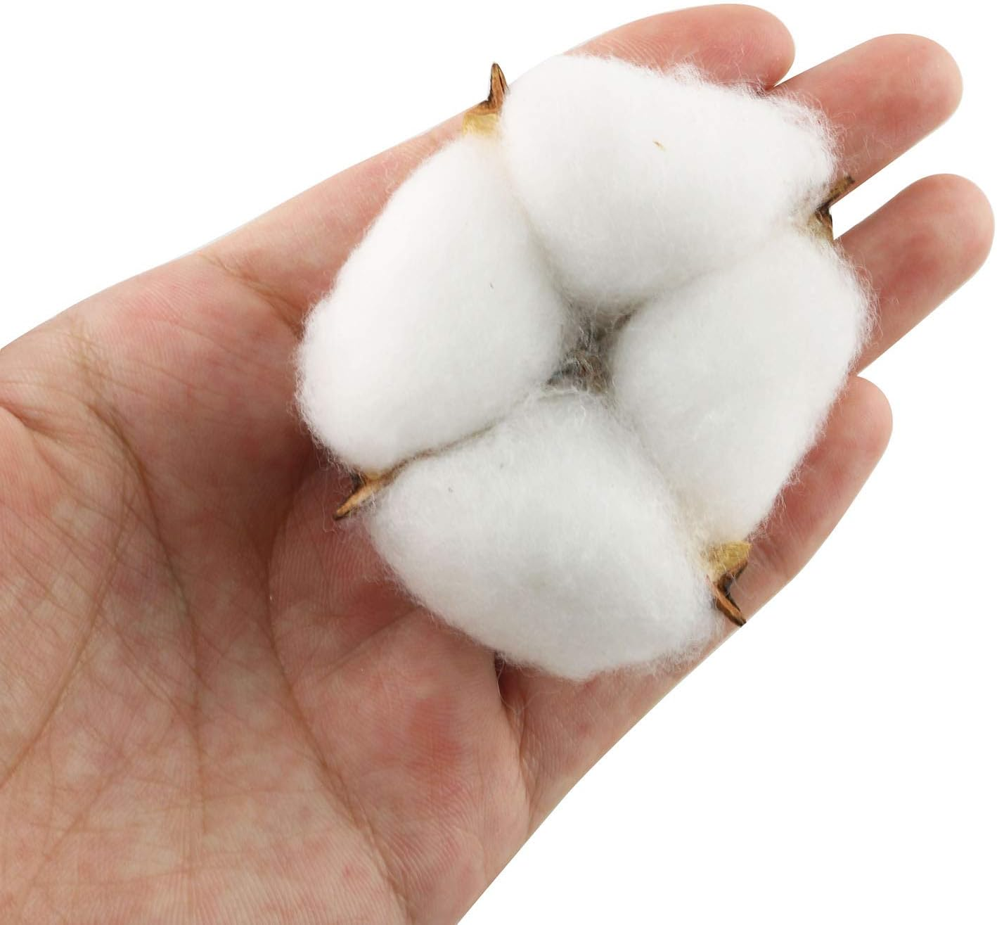 Tegg Cotton Boll 20PCS Natural White Cotton Balls Dried Cotton Pods for Crafting Farmhouse Style image number 5