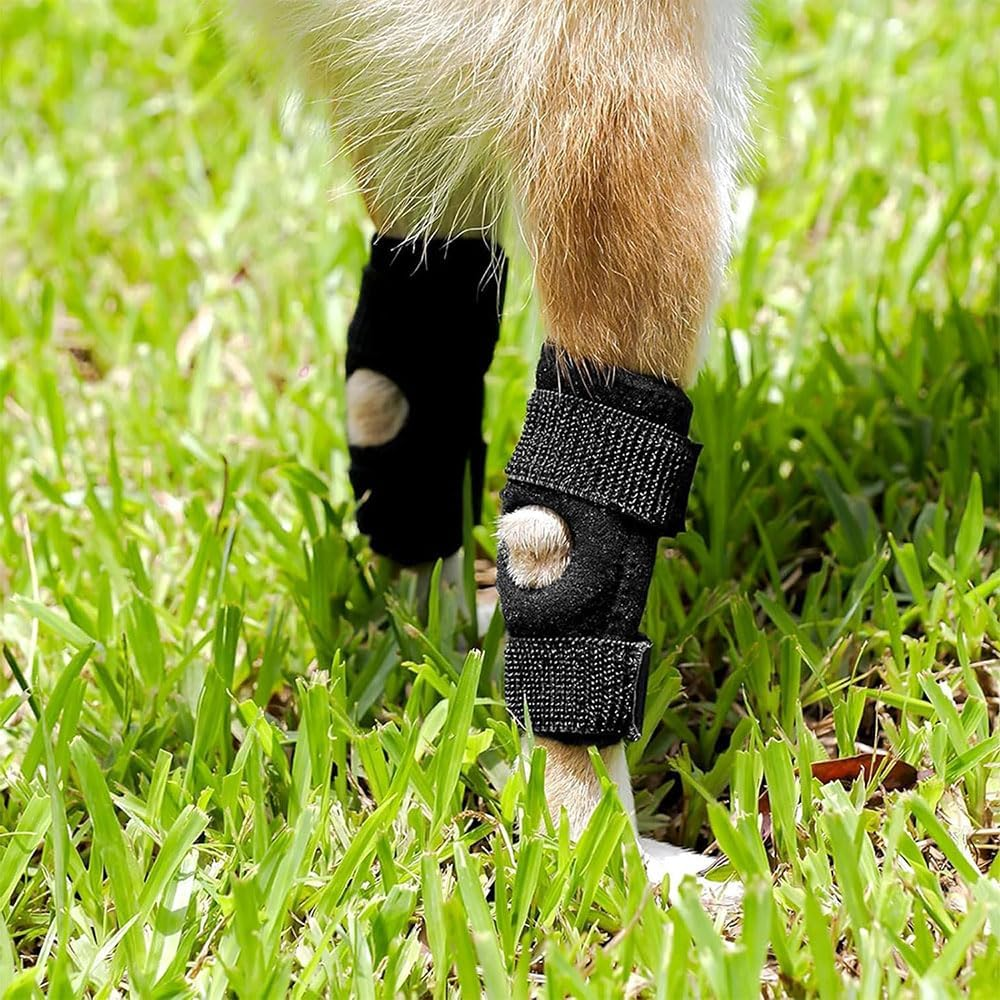 2 Pack Dog Joint Brace &ndash; Rear Leg Hock Support & Elbow Compression Wrap for Joint Injury, Sprain Protection, Arthritis Healing & Stability Loss image number 3