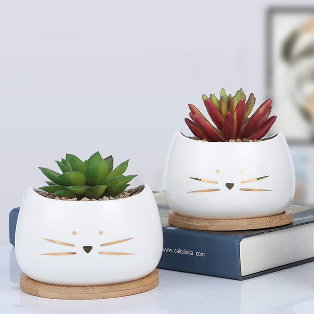 Koolkatkoo 3.2 Inch Cute Cat Ceramic Succulent Planter Pots with Removable Saucer Unique Cactus Planters Porcelain Decorative Flower Pot for Cat Lovers Set of 3 White image number 4