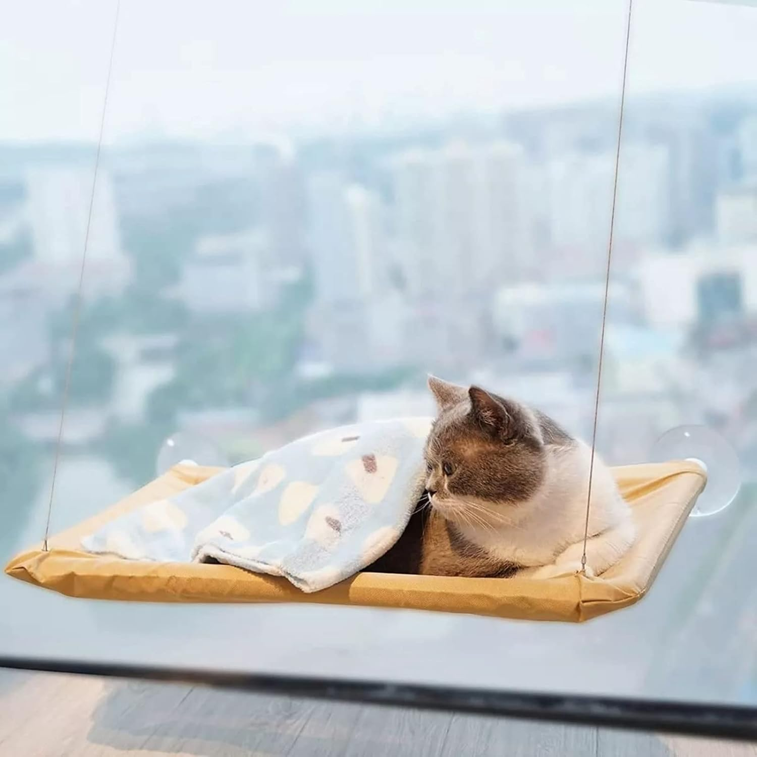 Cat Window Hammock, Window Perch Space Saving Detachable Washable Window Mounted Cat Hammock, Cat Bed Cat Window Perches Bed for All Seasons