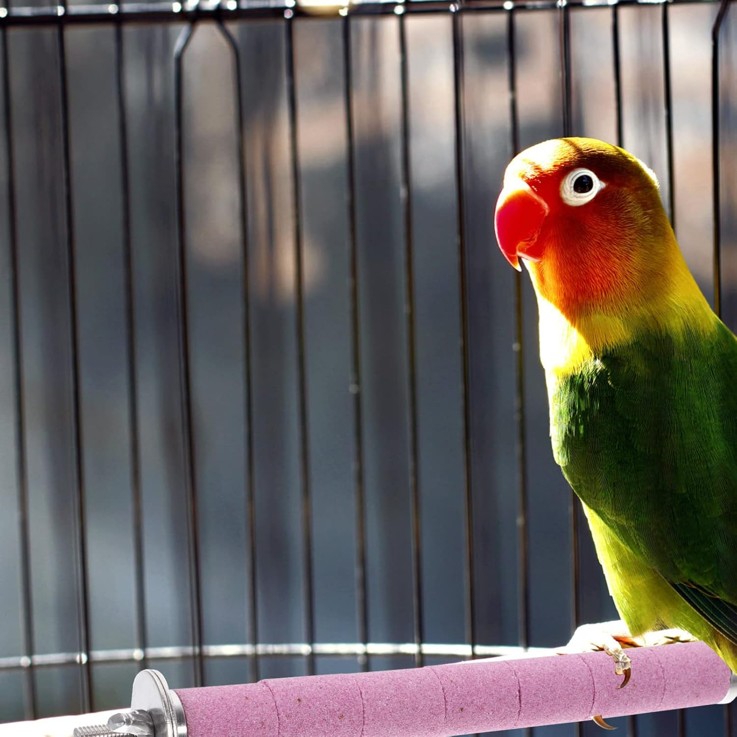 Mipcase Parrot Perch Bird Cage Stand Rope Perch Bird Foot Toys Bite-Resistant Parrot Scratching Stick image number 1