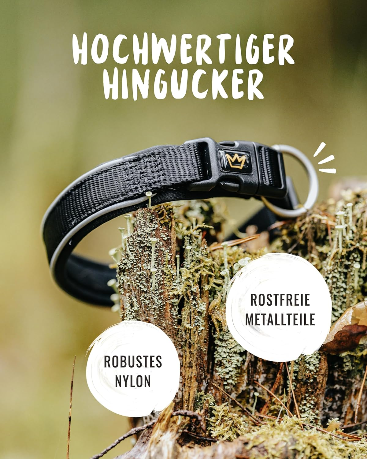 Rudelk&ouml;nig Paola Dog Collar - Adjustable Nylon Dog Collar - Reflective Dog Collar Medium Dogs in Black image number 4