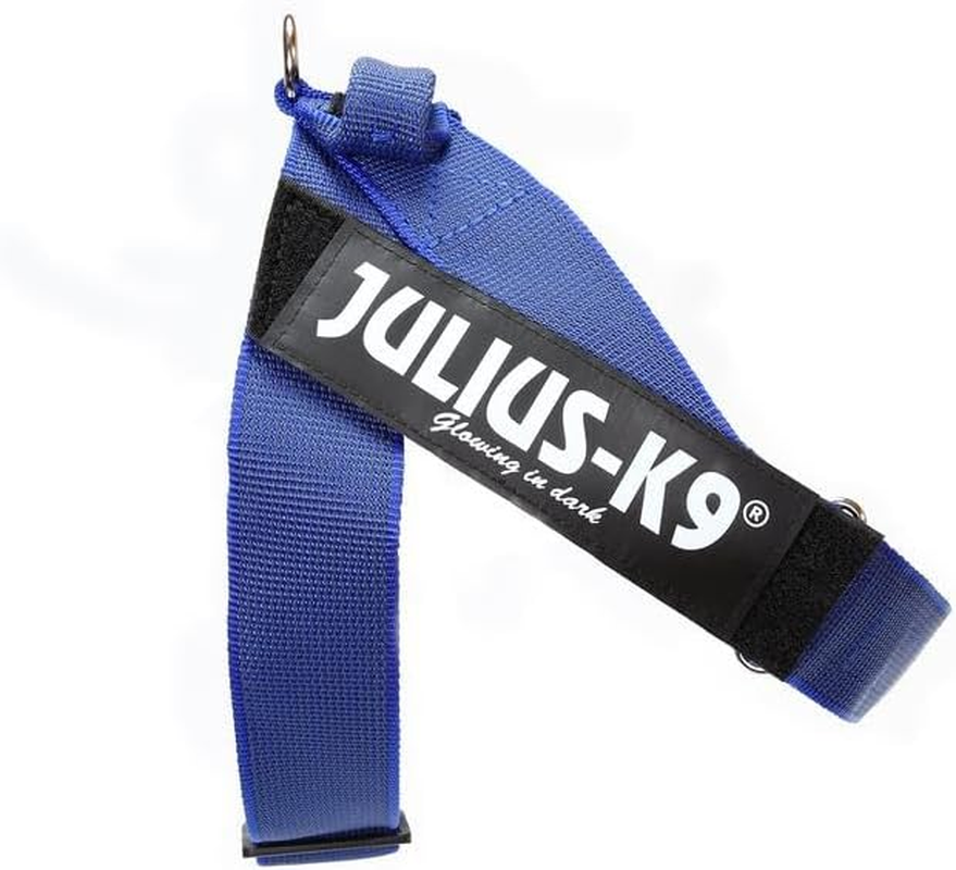 Julius-K9 IDC Color & Gray Belt Harness for Dogs, Size 1, Blue-Gray