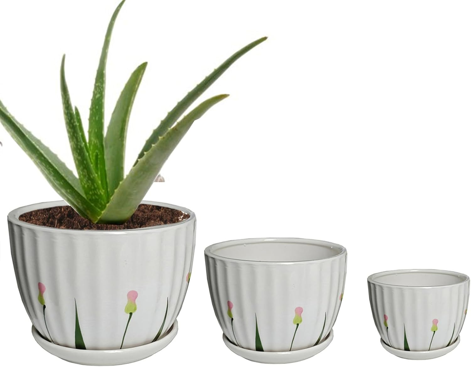 NASHRIO 3-Piece Small Ceramic Plant Pots with Drainage Holes - Indoor/Outdoor Decorative Flower Pots for Succulents, Mini Cacti, Herbs (Set of 3) (A)