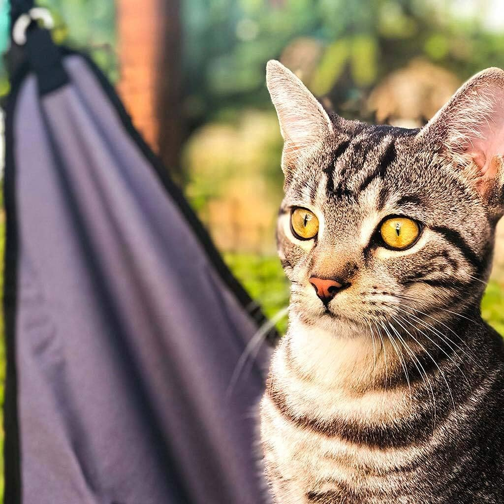 Hammock for the Cat Cabana Cat Enclosure image number 2