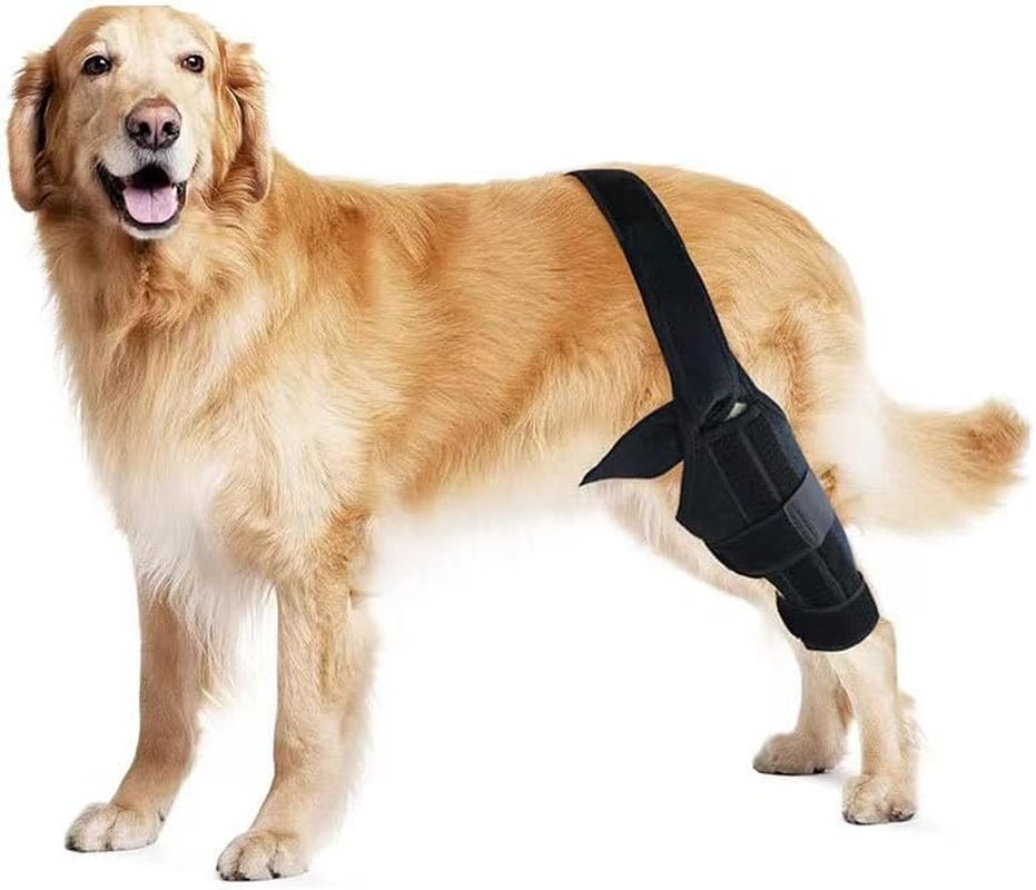 Dog Knee Brace for Torn ACL Hind Leg, Dog Leg Support with Metal Support, ACL Support for Dog Hind Leg Tear CCL, Arthritis, Knee Dislocation (M, Black) image number 1