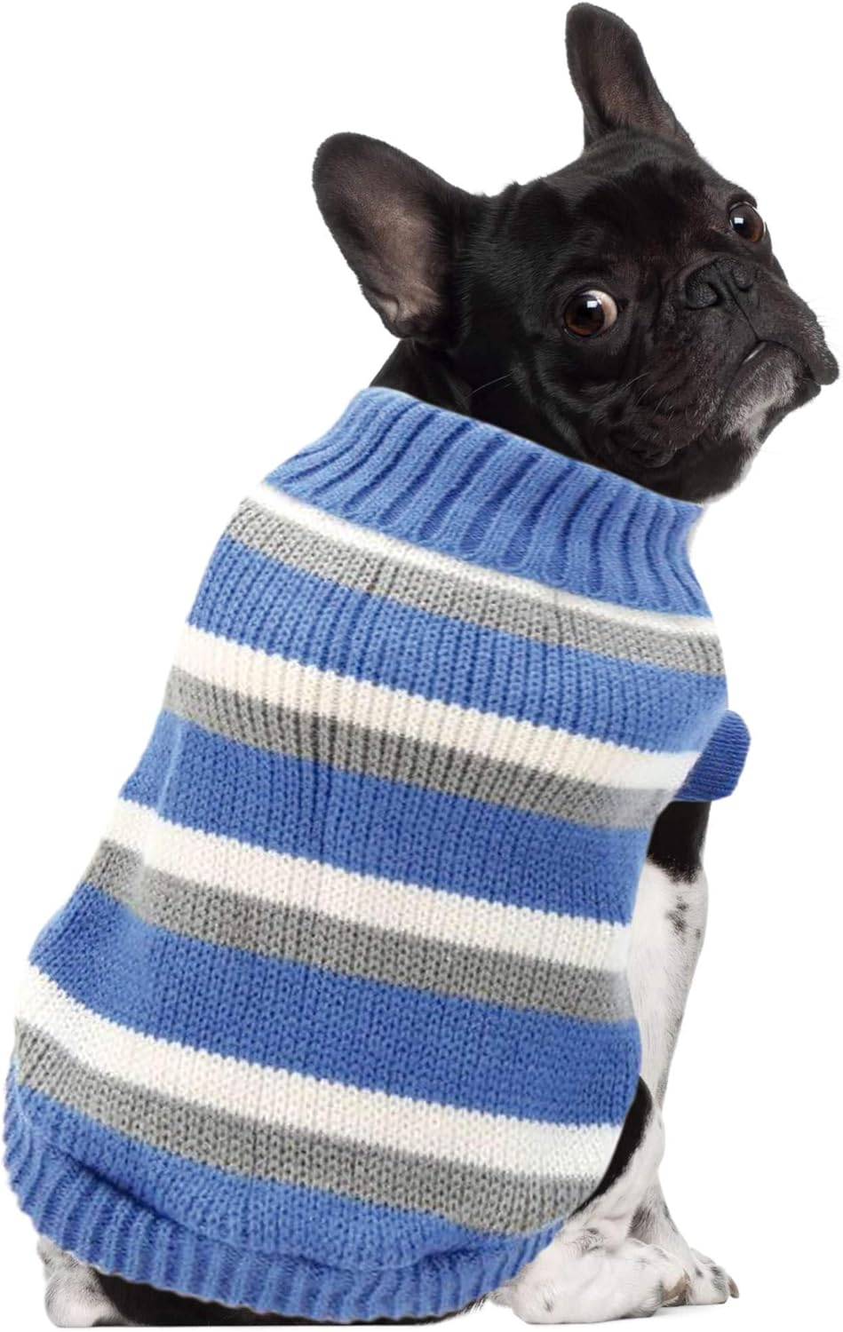 Alpha Dog Jersey Blue Stripes XS 20 Cm