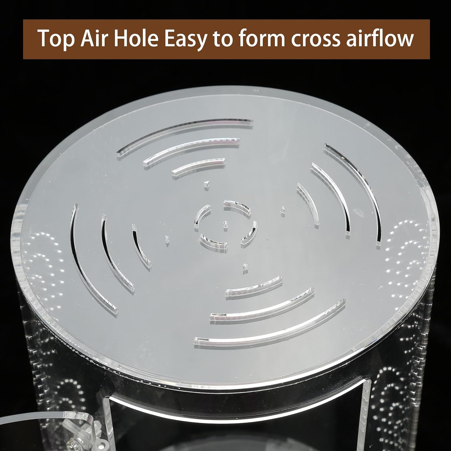 Jumping Spider Enclosure, 11.5&rdquo;*6&rdquo;*6&rdquo;, Air Hole 3/64" Micro Habitat Terrariums, Arboreal Reptile Tank with Front Opening Door,Tarantula Enclosure, Plant Greenhouse