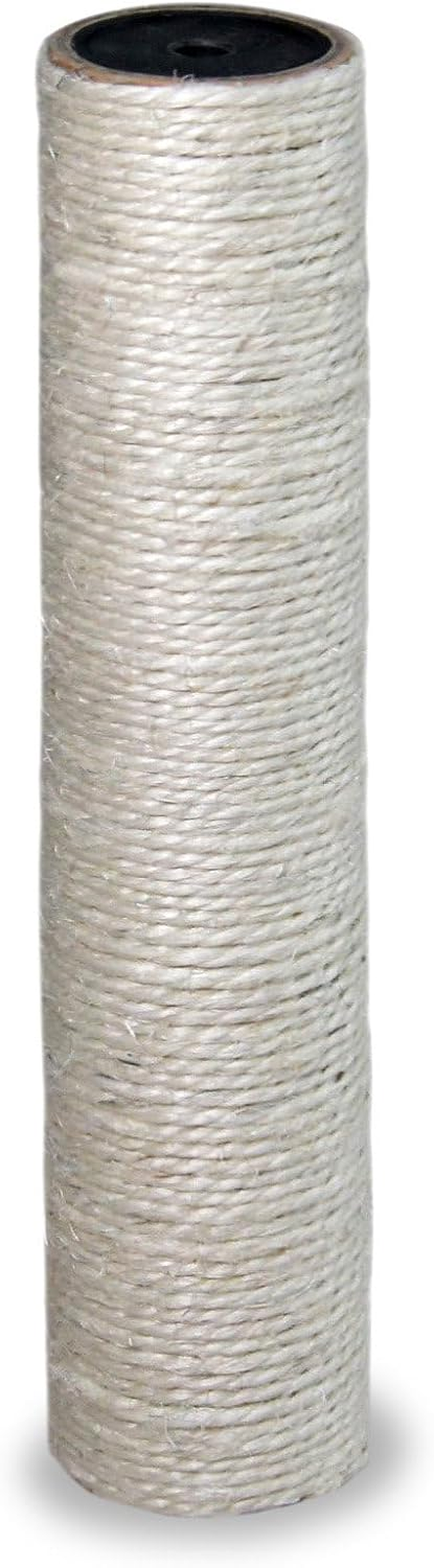 Annie Chorus Cat Thrilled Paul Dedicated the Pole 400 image number 1