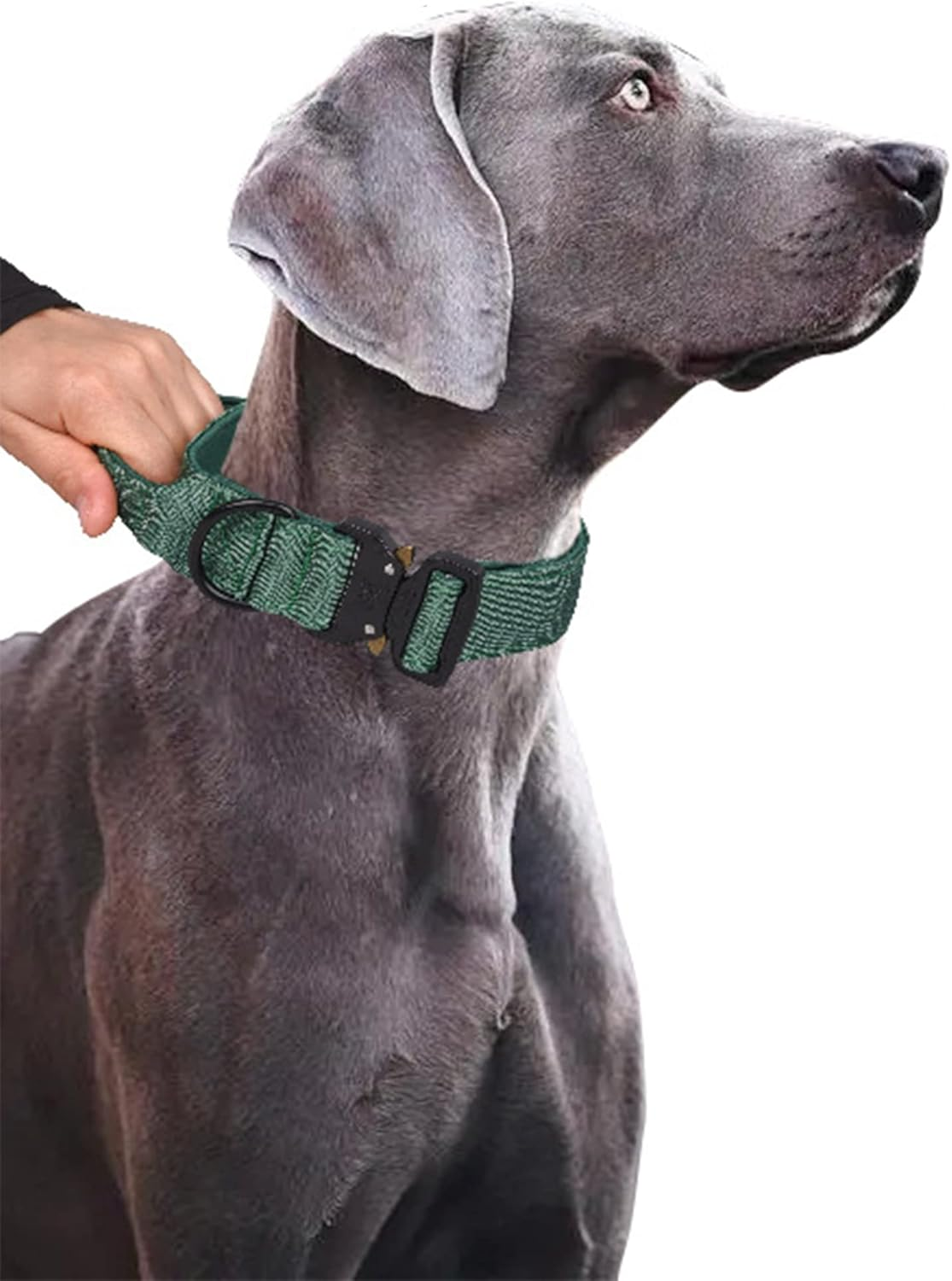 Aecllcea Tactical Dog Collar for Medium Large Dogs, Heavy Duty Dog Collars with Handle, Metal Buckle Dog Training Collar, Thick Dog Collar for Male, Large Dog Collar, Military Dog Collar. (L, Green) image number 5