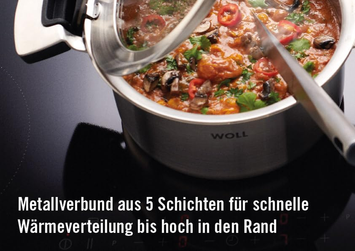 Woll 1524CO Pan with Removable Handle 24 Cm Diameter 5 Cm Height Stainless Steel Multi-Layer