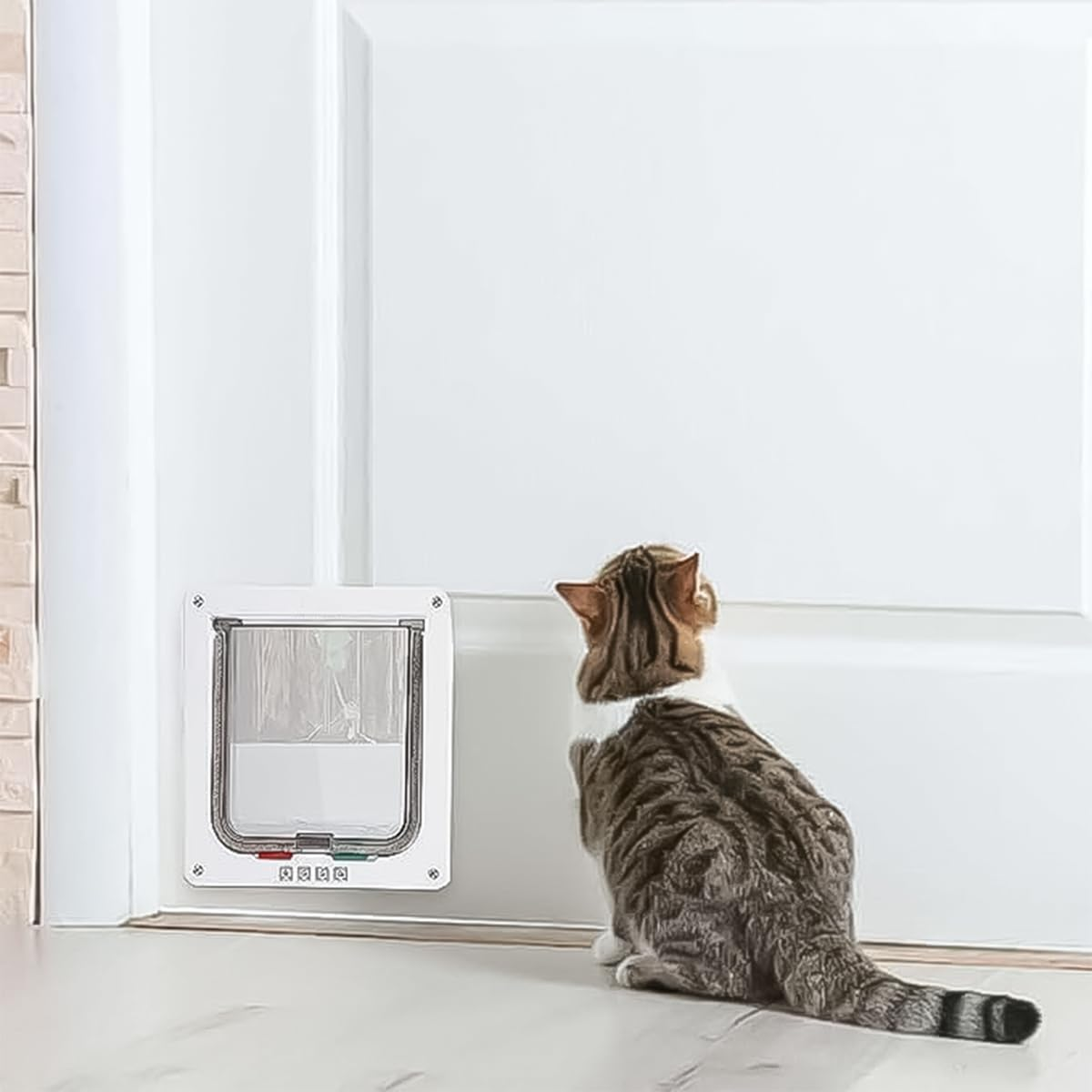 Sarini Door Control for Cats and Pets, in and Away Direction, 23.5 X 25 X 5.5 Cm, Suitable for Doors/Walls Indoor and Outdoor, Suitable for All Pets image number 2