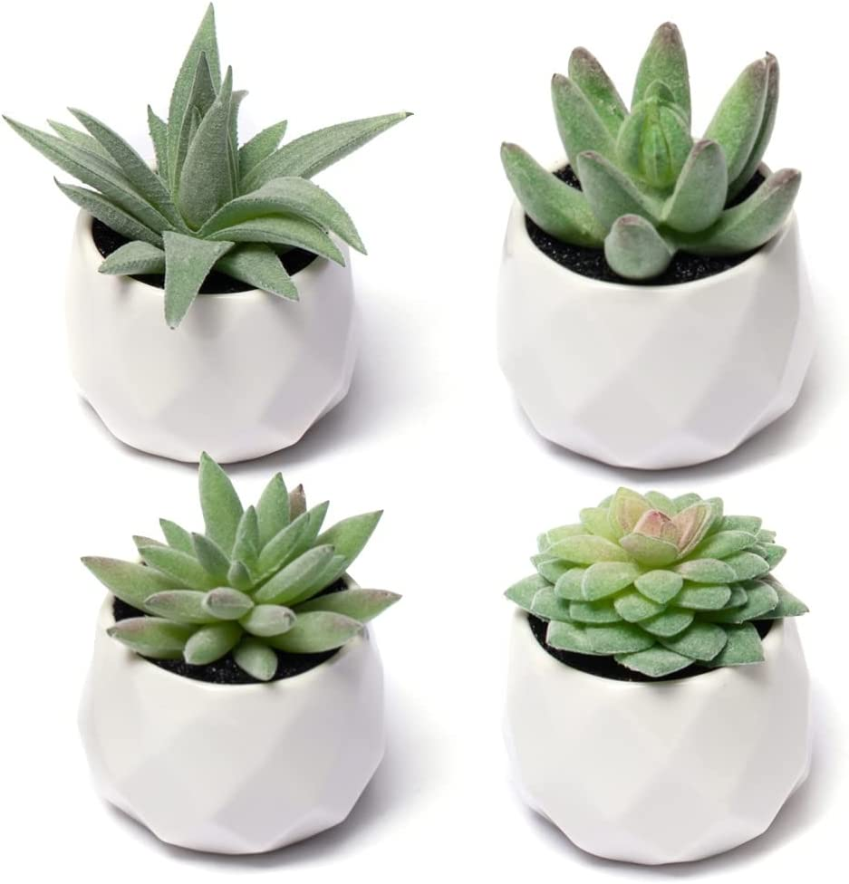 CADNLY Fake Succulent Plant Set - Artificial Succulent Plants for Women Desk - Realistic Faux Succulents in Ceramic Planter Pots - Mini Purple Succulent Decor for Bedroom Bathroom Office Shelf Decor