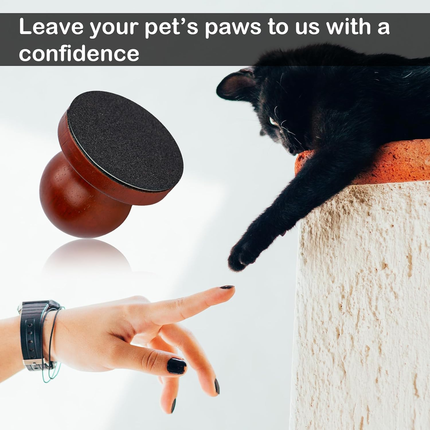 Dog Nail File, Quiet Dog Nails Scratch Pad Board with 6 Replaceable Filing Disc Dog Nail Portable Dog Nail Clippers for Grooming Dog Nail File Trimmer for Smoothing Pet Gifts image number 3